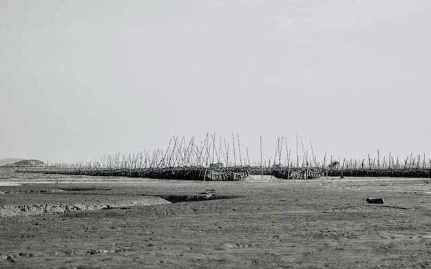 A black and white photo of a beach with a large number of poles in the foreground.