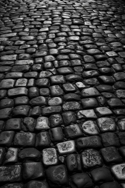 A black and white photo of a cobblestone street with the word stone on it.