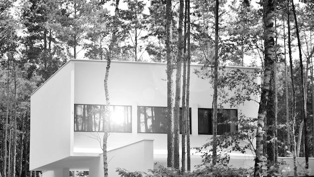 a black and white photo of a house with trees in the background