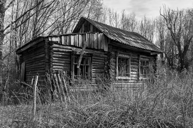 Черно-белое фото - старый, заброшенный и почти разрушенный дом на опушке леса.