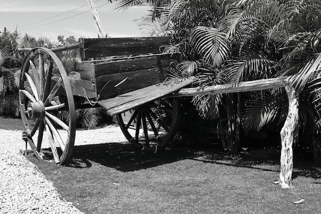 Foto foto in bianco e nero di un vecchio carrello fatiscente esposto come decorazione in un parco pubblico