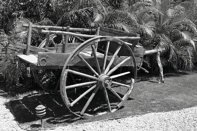 Photo black and white photo of an old dilapidated cart displayed as a decoration in a public park