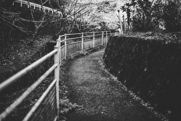 A black and white photo of a path with a fence and trees in the background.