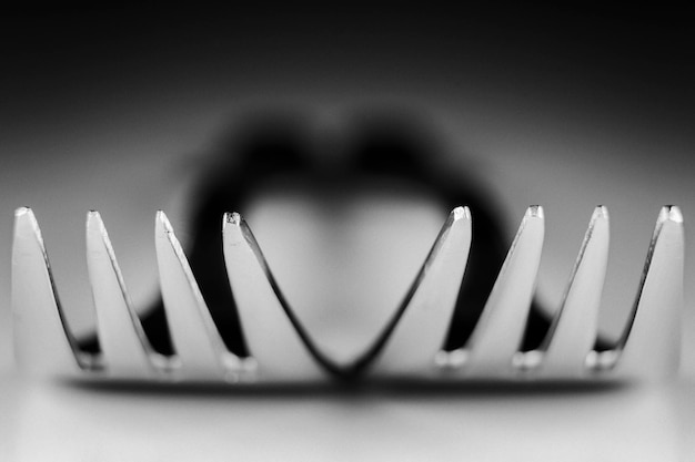 black and white photo of two forks with a White background