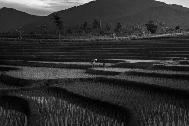 インドネシアの美しい朝の景色と白黒写真