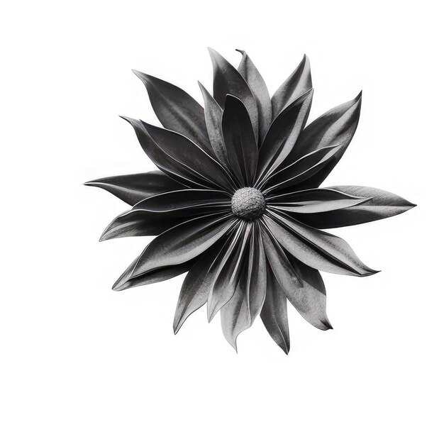 Photo a black and white picture of a flower with a white background.