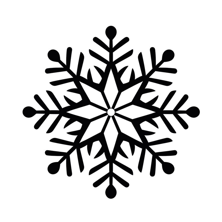 黒と白の雪花