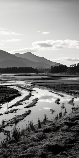 Black And White Stream In Maranao Art Style Southern Countryside Photo