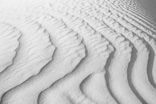 Texture in bianco e nero delle dune di sabbia del deserto