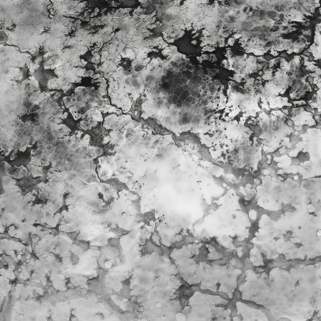 black and white texture of grunge map of moisture spots