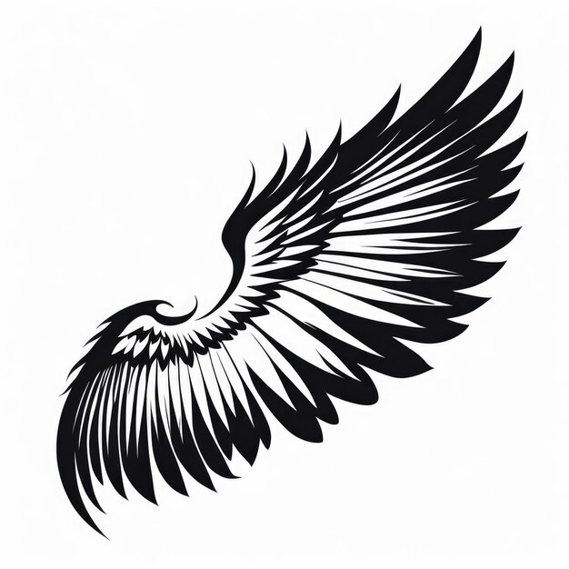 Photo black wings white background isolated