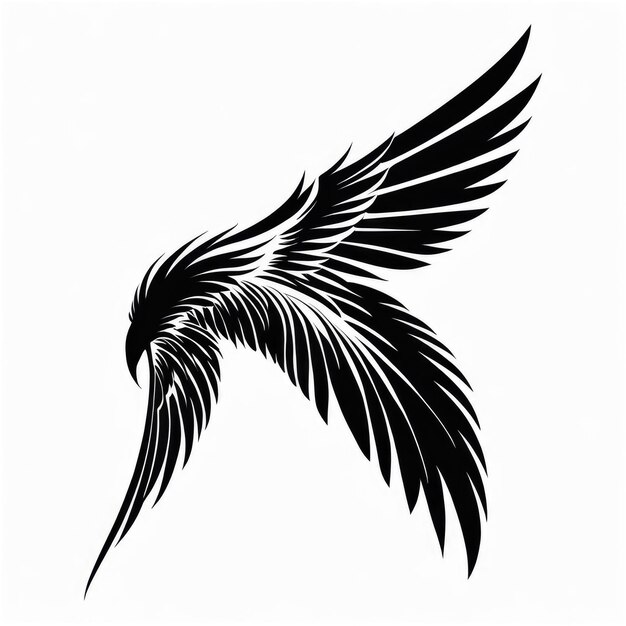 Photo black wings white background isolated