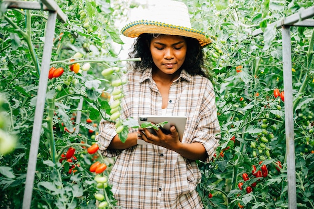 흑인 여성 농부는 디지털 태블릿을 사용하여 토마토를 검사합니다.