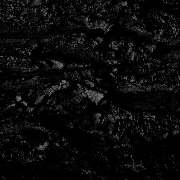 Black wood texture