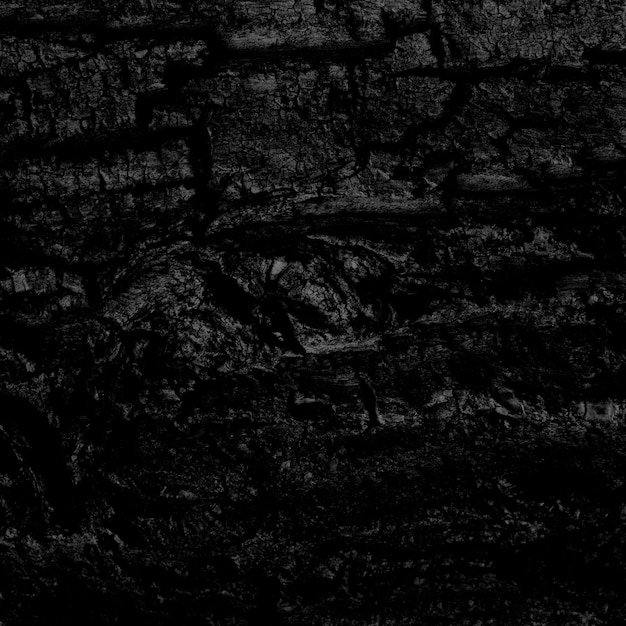 Black wood texture