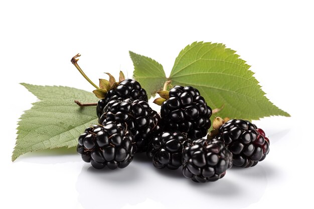 Blackberries on background Juicy black berries fresh and sweet