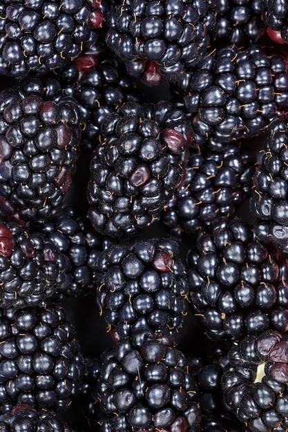 블랙베리 베리 과일 컬렉션 음식 배경 블랙베리 세로 형식 딸기 신선한 과일
