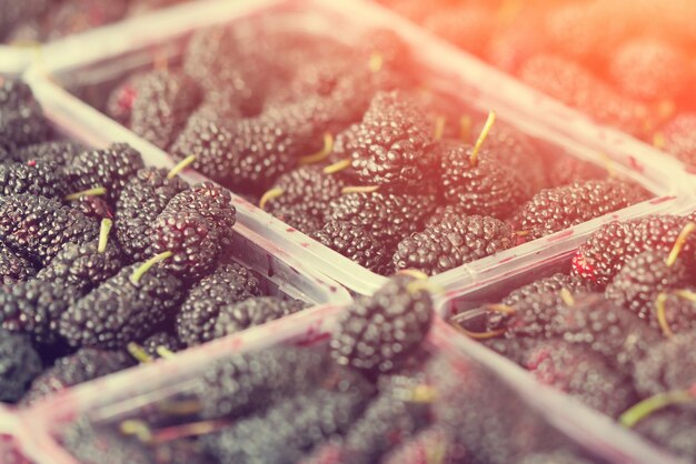 Blackberries in containers background