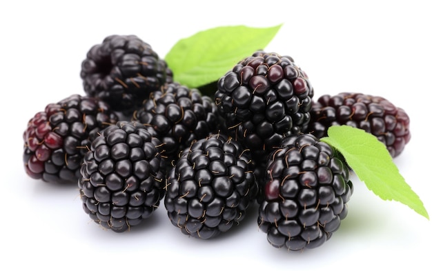 Blackberries-groep geïsoleerd op witte achtergrond