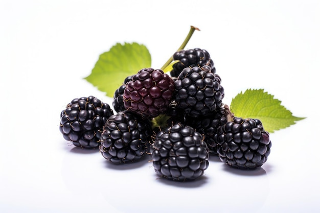 blackberries isolated against white