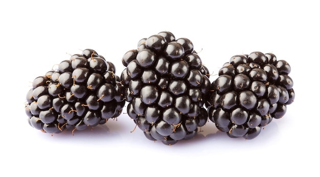 Blackberries isolated on white background