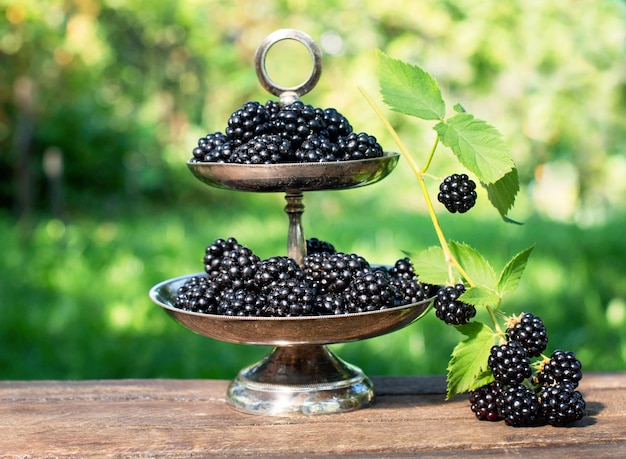 Blackberries in vintage metal plate outdoors sunny summer day