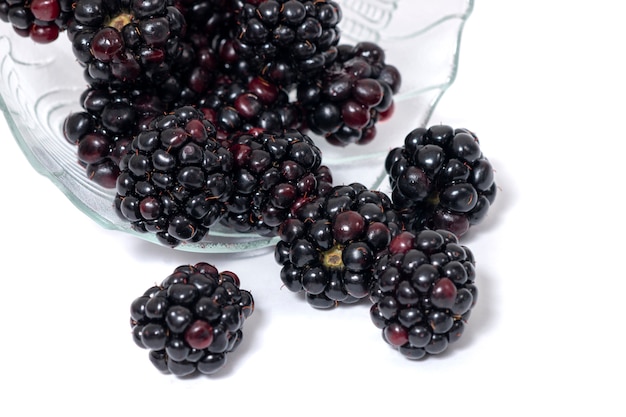 Blackberries white background