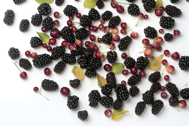 blackberries on white background