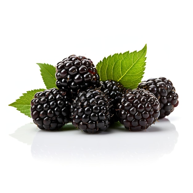 blackberries with leaf isolated on white background