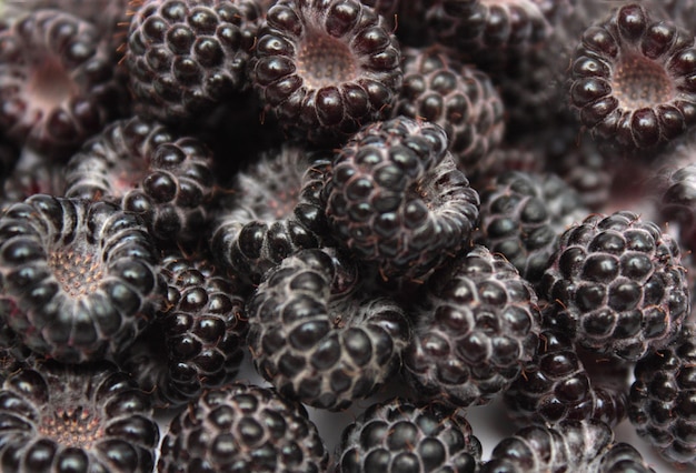 Blackberries