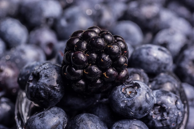 Blackberry and blueberry closeup