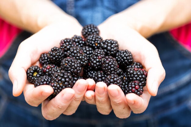 Blackberry fruit