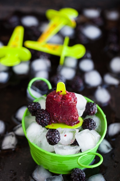 BlackBerry ice cream. Summer sweet Dessert.