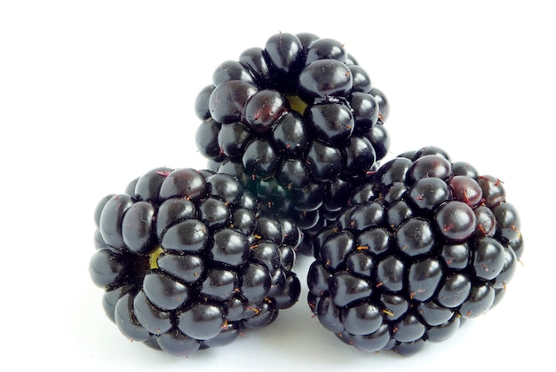 Blackberry isolated on a white background