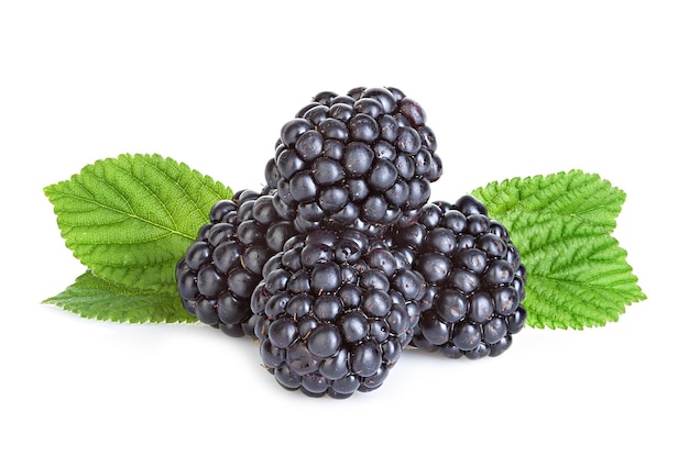 Photo blackberry isolated on white background