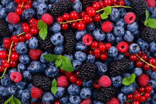 500 Berry Wallpapers  Wallpaperscom