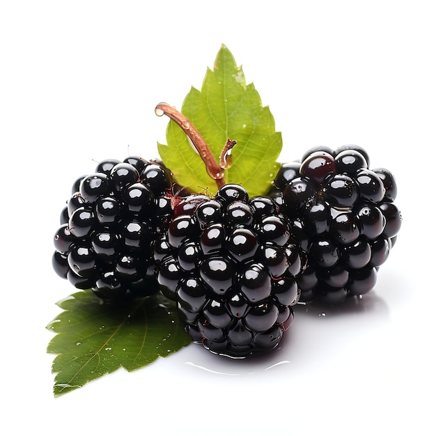 Blackberry with water drops on white background