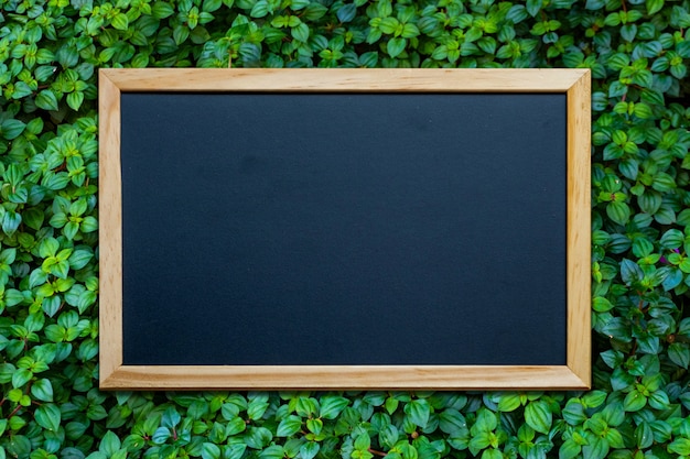 A blackboard placed on a green leaf bush to design