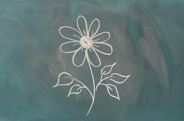 Photo blackboard with drawing flower closeup