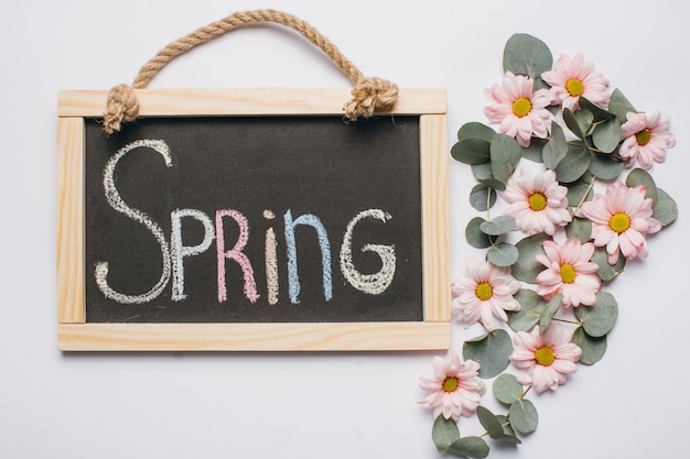 Photo blackboard with the inscription spring around chamomile and eucalyptus.