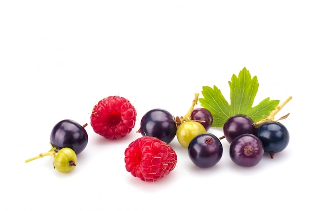 Blackcurrants with raspberries