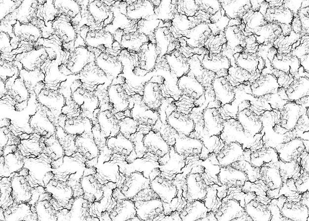 Blackwhite grunge pattern crackles texture Abstract background