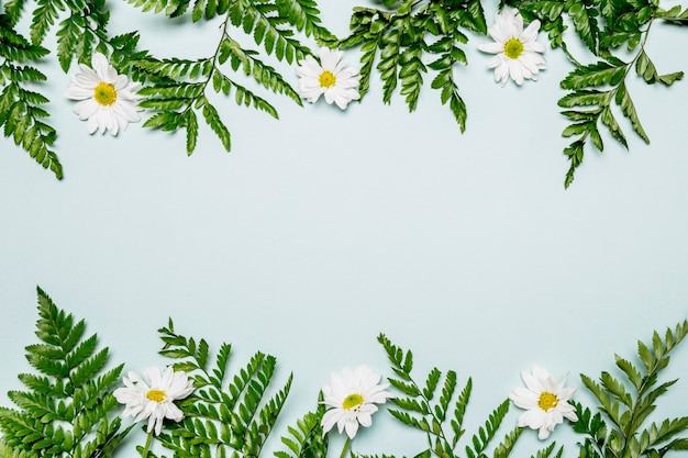 Bladeren en bloemen op lichtblauwe achtergrond