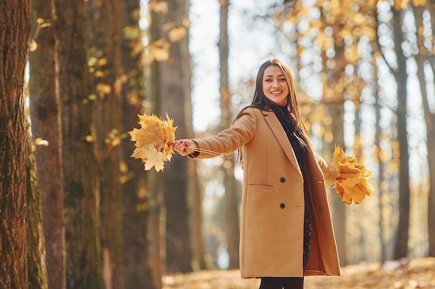 Bladeren in handen houden Vrouw in jas heeft een wandeling in het herfstbos