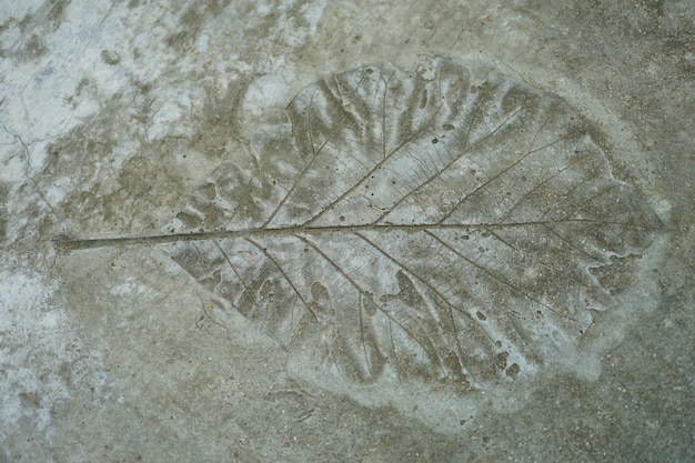 Bladeren op de mortiervloer in de tuin.