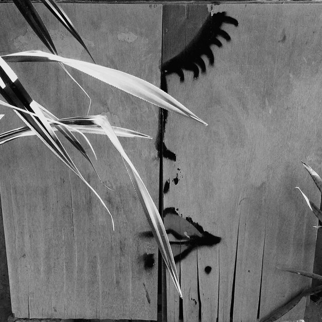 Photo blades of grass against wooden plank