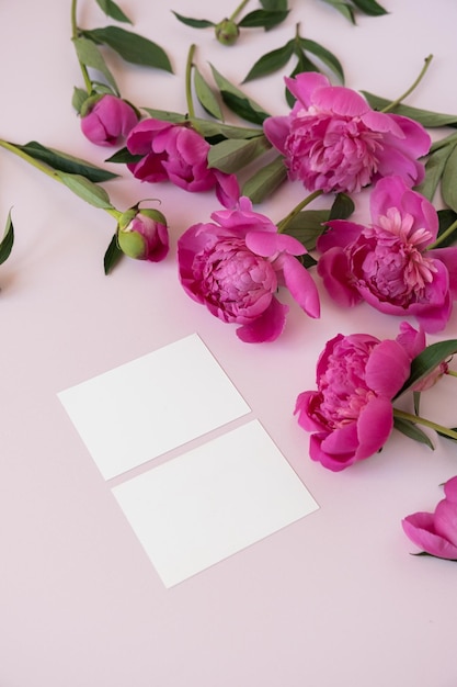 Blanco branding papieren kaartblad met mockup kopie ruimte en elegante pioenrozen bloemen op roze achtergrond Samenstelling van esthetische bloemen