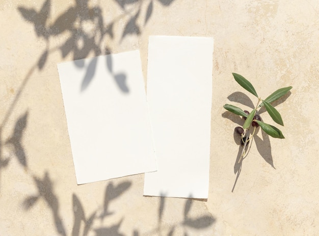 Blanco kaarten op betonnen tafel met olijfboomtakken en harde schaduwen bruiloft mockup