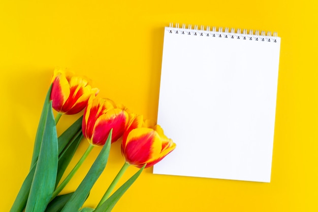 Foto blanco notitieblok en mooie rode en gele verse tulpen.