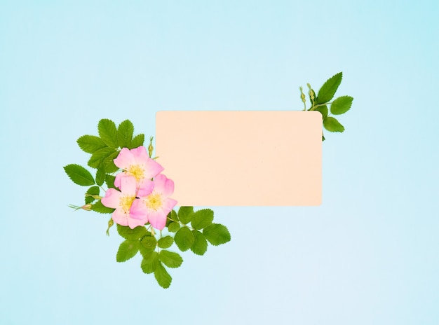 Blanco papier voor tekst met wilde roze bloemen op blauwe achtergrond.